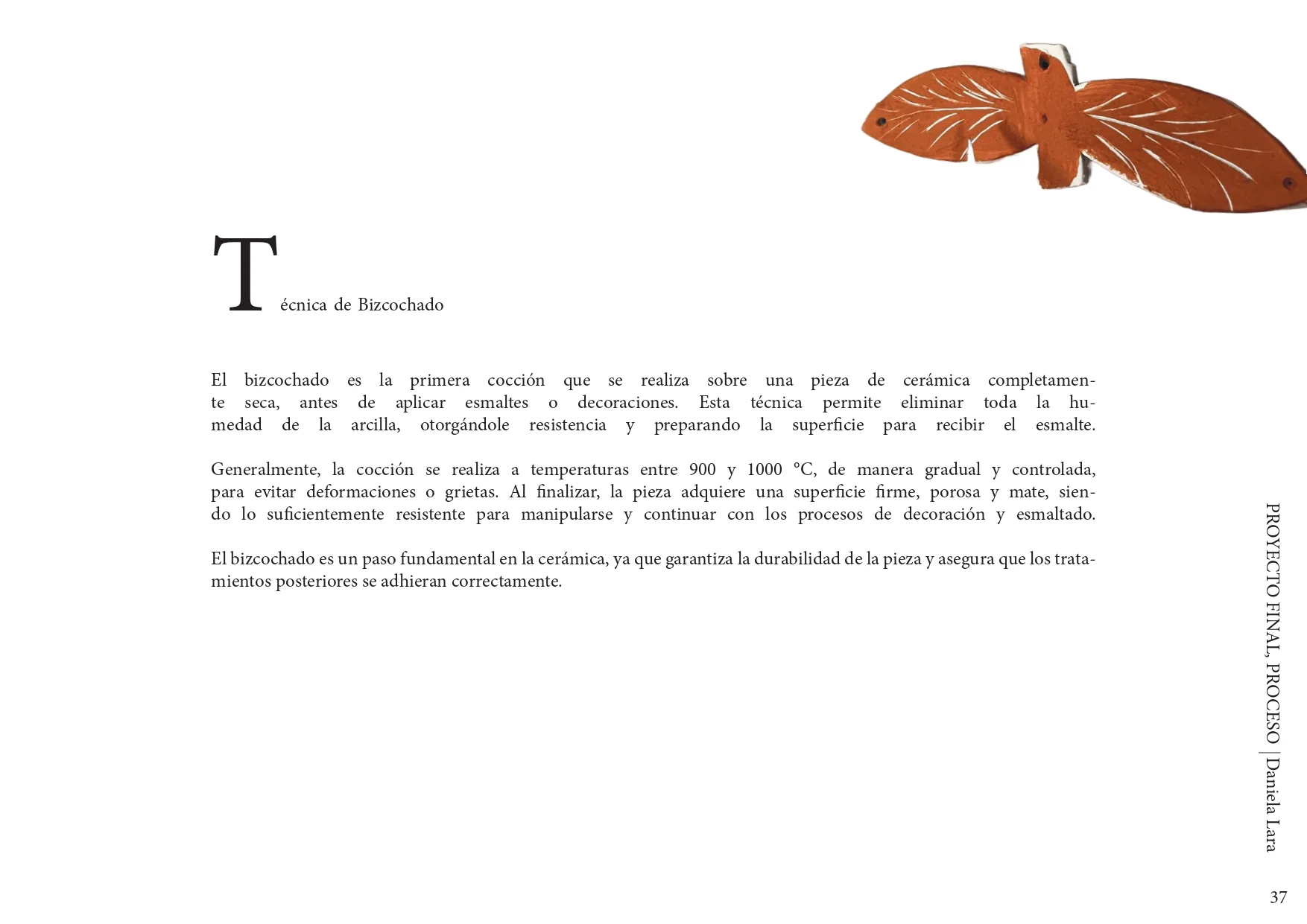 Página 37